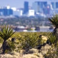 The Political Landscape of Clark County, Nevada: A Comprehensive Look at the Mayor of Las Vegas