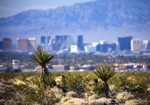 Finding Balance: The Role of Politicians in Clark County, Nevada