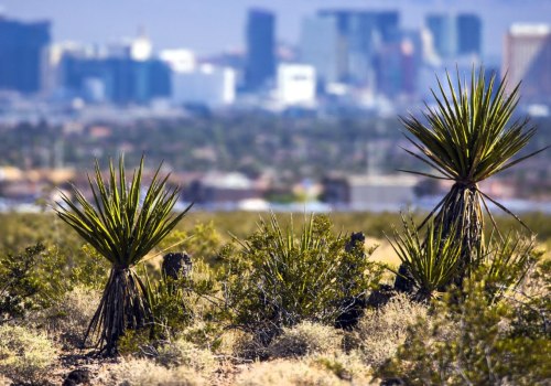 The Political Landscape of Clark County, Nevada: A Comprehensive Look at the Mayor of Las Vegas